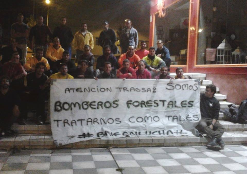 Entrevista a las Brigadas de Refuerzo contra los Incendios Forestales (BRIF)